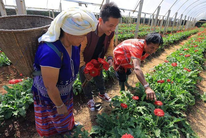 CHIANG MAI: Doi Inthanon NationPark-Royal Project-Waterfall-Lunch - Who Will Love This Tour?