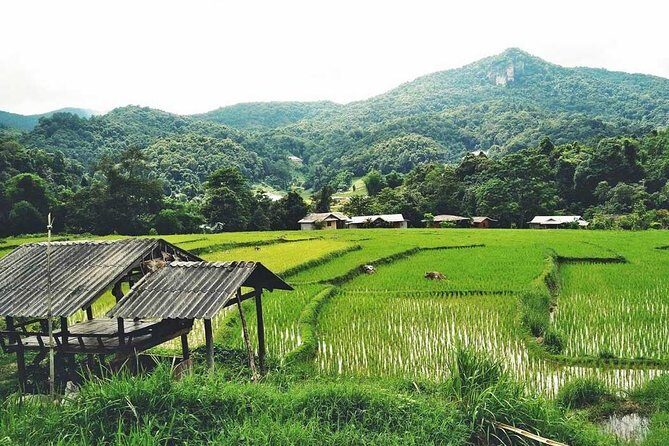 CHIANG MAI: Doi Inthanon NationPark-Royal Project-Waterfall-Lunch - FAQ