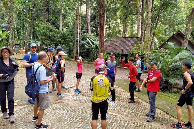 Chiang Mai: Doi Suthep Summit Trek  7 Hour Pure Hiking Adventure - Key Points