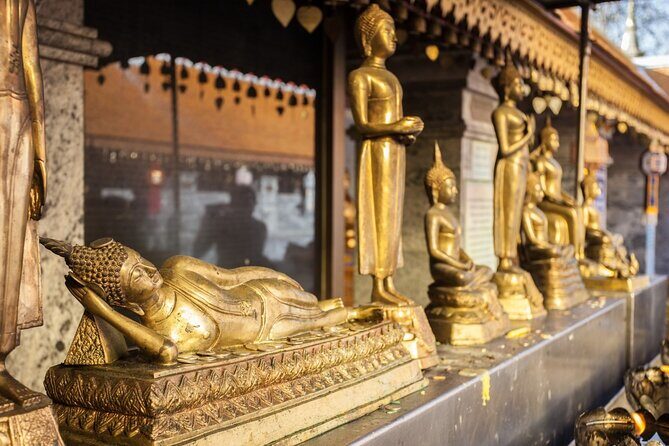Chiang Mai - Doi Suthep Temple & Wat Pha Lat Hike - Who Will Enjoy This Tour?