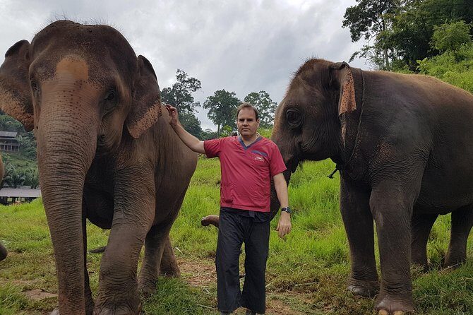 Chiang Mai Elephant Sanctuary and Temples Tour in Spanish - The Sum Up