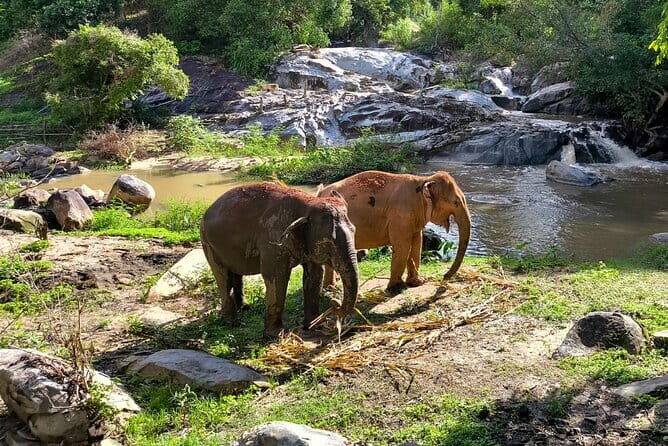 Chiang Mai Elephant Sanctuary Observation and Bamboo Rafting - Frequently Asked Questions