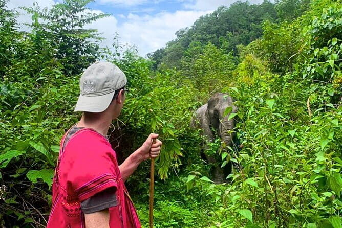 Chiang Mai: Elephant Sanctuary Observation, Doi Inthanon & Hiking - A Complete Look at the Tour Experience