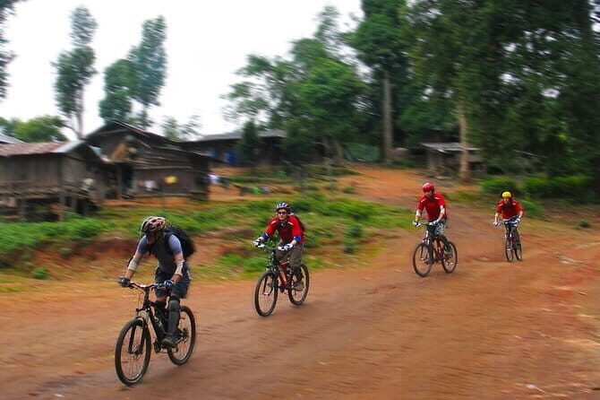 Chiang Mai: Elephant Sanctuary Observation, Doi Inthanon & Hiking - The Sum Up: Who Is This Tour Best For?