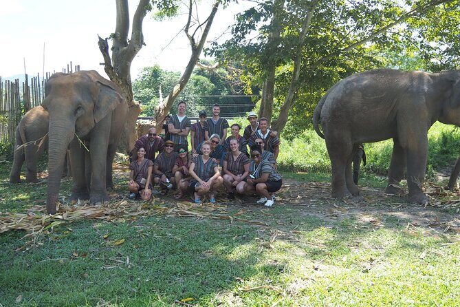 Chiang Mai Elephant Sanctuary Small Group Ethical Tour - Diving Into the Details: Why This Tour Works