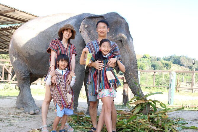 Chiang Mai Elephant Sanctuary Small Group Ethical Tour - Who Should Consider This Tour?