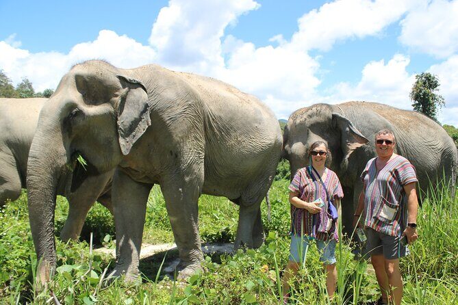 Chiang Mai Elephant Sanctuary Small Group Ethical Tour - The Sum Up