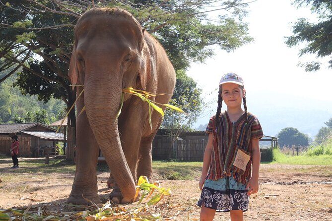 Chiang Mai Elephant Sanctuary Small Group Ethical Tour - FAQ