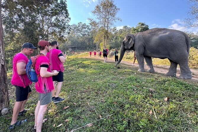 Chiang Mai Elephant Watch and Wang River Rafting - Chiang Mai Elephant Watch and Wang River Rafting: An Authentic Cultural and Nature Escape