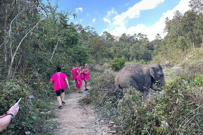 Chiang Mai Elephant Watch and Wang River Rafting - A Deep Dive Into the Chiang Mai Elephant Watch and Wang River Rafting Experience