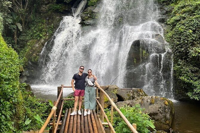 Chiang Mai Full Day Tour: Elephant Sanctuary, Waterfall & Sights - Introduction