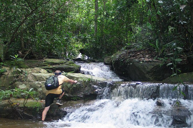Chiang mai Hike & Downhill Bike Adventure Suthep National Park - A Deep Dive Into the Experience