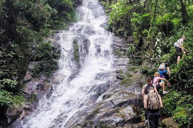 Chiang mai Hike & Downhill Bike Adventure Suthep National Park - Who Should Book This Tour?