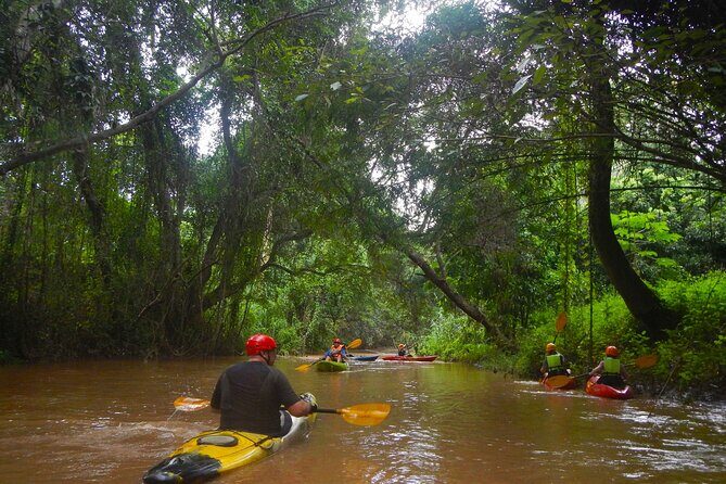 Chiang Mai : Kayak the Jungle Rivers of Chiang Dao Valley! - A Closer Look at the Chiang Dao Valley Kayaking Tour
