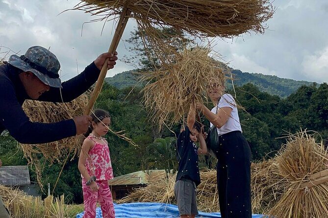 Chiang Mai Private Tour - Transportation and Comfort