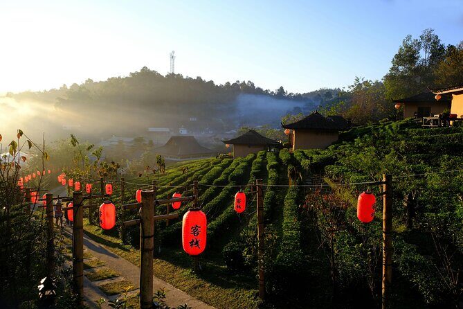 Chiang Mai: Twin Pagodas and Wachirathan Waterfall, private - Practical Details and Tips