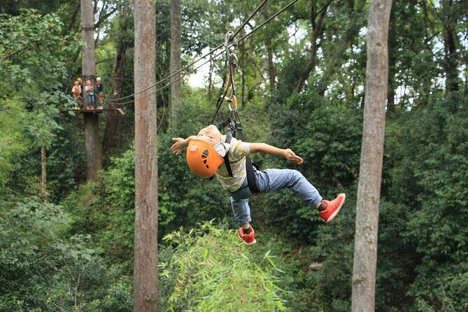 Chiang Mai Zip Line Experience - Authentic Insights from Reviewers