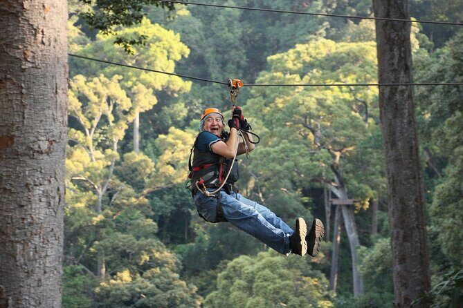 Chiang Mai Zip Line Experience - Who Would Love This Tour?