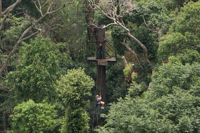 Chiang Mai Zip Line Experience - The Sum Up: Is It Worth It?