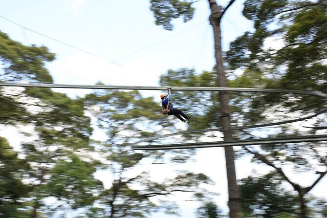 Chiang Mai Zip Line Experience - FAQ