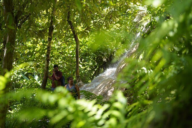 Chiang Mai:Sticky Waterfall Adventure and Bua Tong Huge Cave Tour - Who is This Tour Best For?