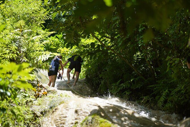 Chiang Mai:Sticky Waterfall Adventure and Bua Tong Huge Cave Tour - FAQ