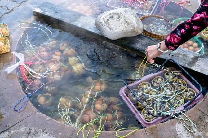 ChiangRai From ChiangMai, White & Blue temple+Black house & Lunch - Key Points
