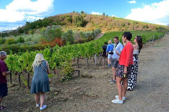 Chianti Classico and Super Tuscan 3 Winery Tour - The Itinerary in Detail: What You Can Expect