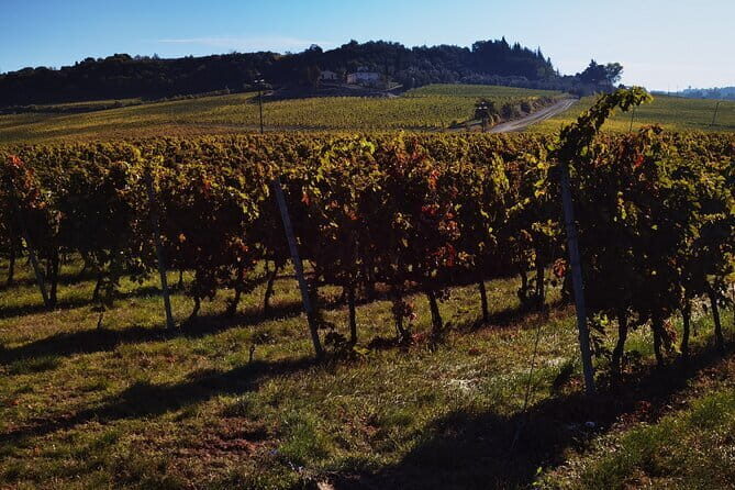 Chianti Classico E-bike Tour - The Experience in Detail