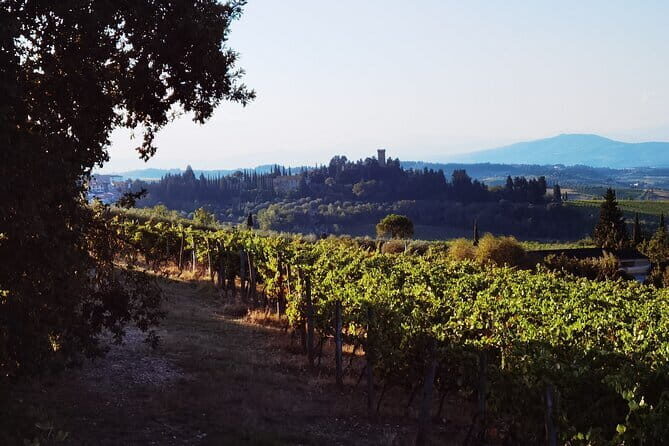 Chianti Classico E-bike Tour - FAQ