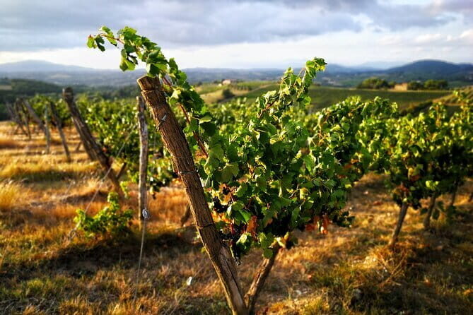 Chianti Classico E-bike Tour - Starting Point and Logistics