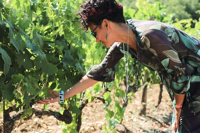 Chianti Classico, Montalcino, Montepulciano by minivan: Wine Tastings & Lunch - FAQs