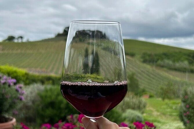 Chianti Classico wine Tour and Tasting - An In-Depth Look at the Experience
