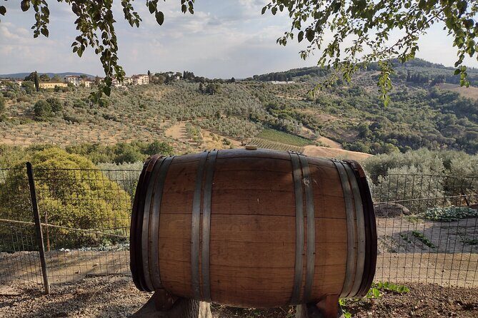 Chianti: eno-excursion through the vineyards - Key Points