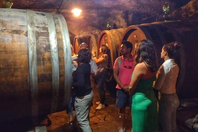 Chianti: eno-excursion through the vineyards - Who Will Love This Tour?