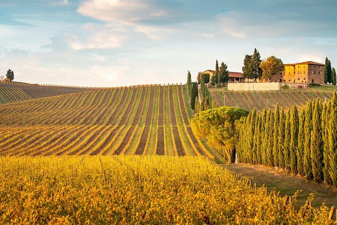 Chianti Experience Shore Excursion from Livorno Port - Final Thoughts