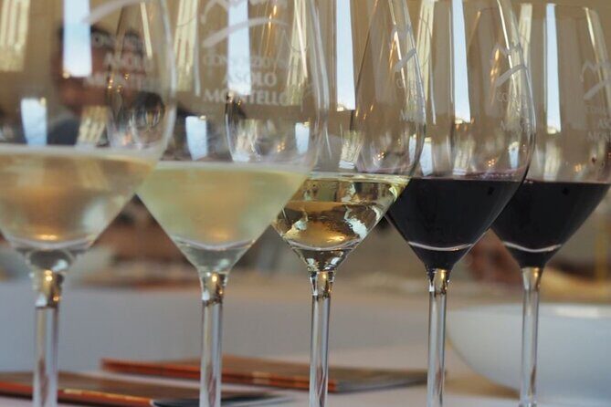 Chianti from Florence:PRIVATE Wine, Olive Oil Tasting in the Tuscan countryside - An In-Depth Review of the Chianti from Florence Private Tour