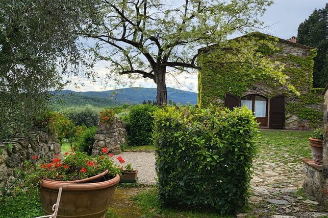 Chianti Half Day Wine Tour from Florence - A Closer Look at the Chianti Half-Day Tour