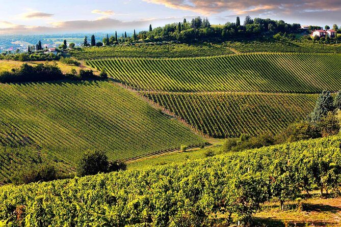 Chianti Half-Day Wine Tour in the Tuscan Hills Small Group from Lucca - Key Points