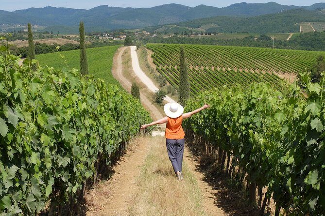 Chianti Half-Day Wine Tour in the Tuscan Hills Small Group from Lucca - An Authentic Taste of Tuscany in Just Half a Day