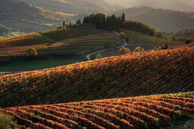 Chianti Half-day Wine Tour in the Tuscan's Hills from Pisa - The Itinerary Breakdown: What to Expect