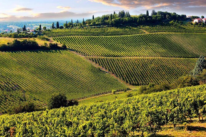 Chianti Half-day Wine Tour in the Tuscan's Hills from Pisa - Final Thoughts