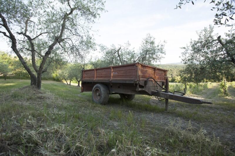 Chianti Organic wine tasting - The Vineyard and Cellar Experience