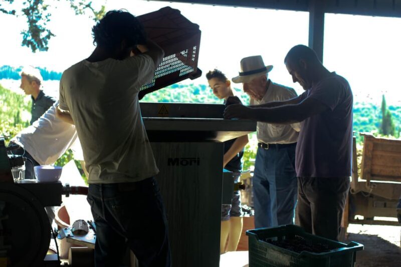 Chianti Organic wine tasting - Tasting and Food Pairings