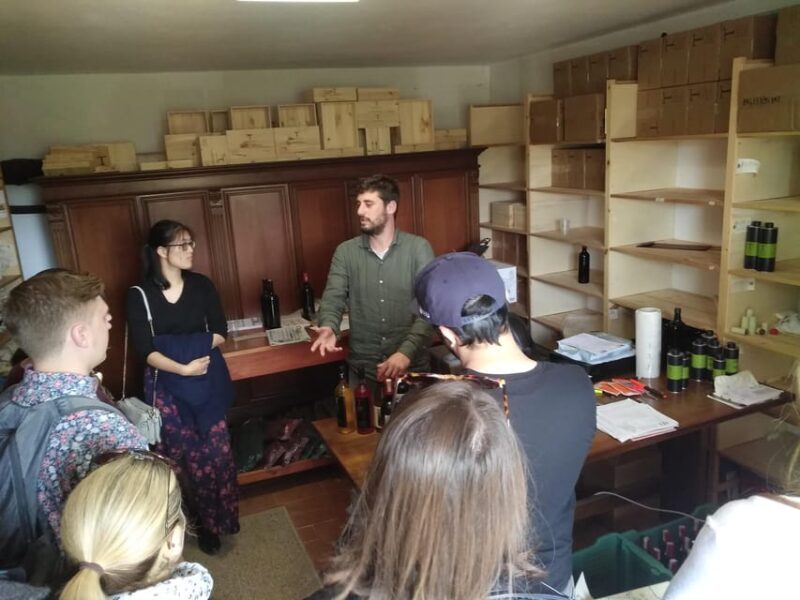 Chianti Organic wine tasting - Who Should Book?