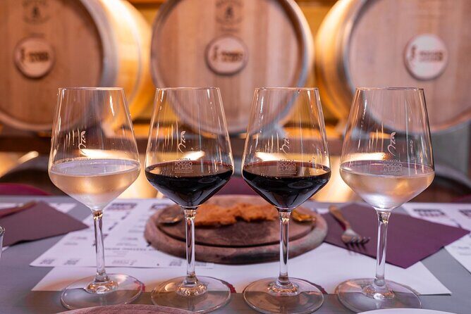 Chianti: Premium Wine, Olive Oil and Vinegar Tasting - The Practicalities: Booking, Duration, and Value