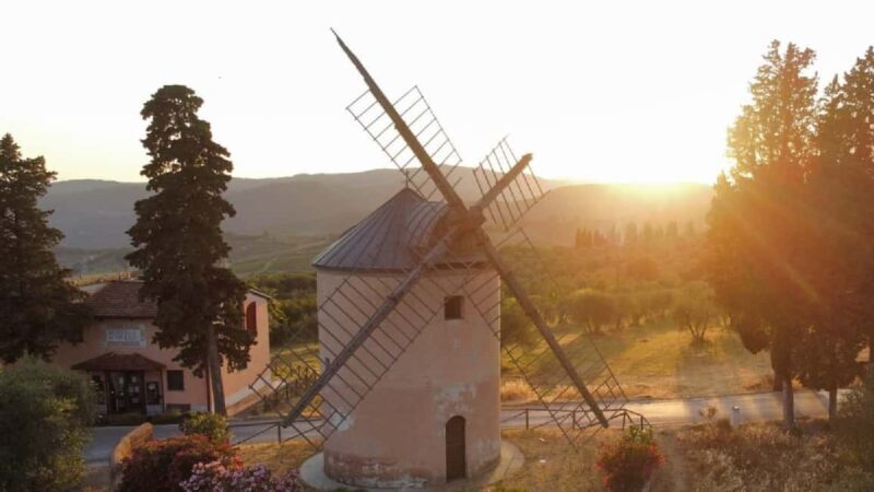 Chianti Rufina: Discover the tradition of extra virgin olive oil and organic wines - A Deep Dive into the Experience