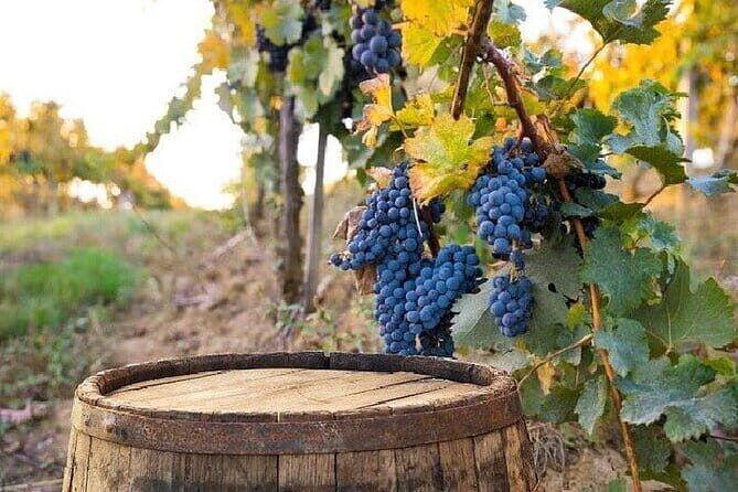 Chianti, San Gimignano and Siena Full Day Trip with Wine Tastings - The Sum Up