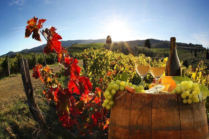 Chianti, SuperTuscan & San Gimignano - 2 wineries and light lunch - Key Points