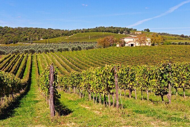 Chianti, SuperTuscan & San Gimignano - 2 wineries and light lunch - Who Should Consider This Tour?